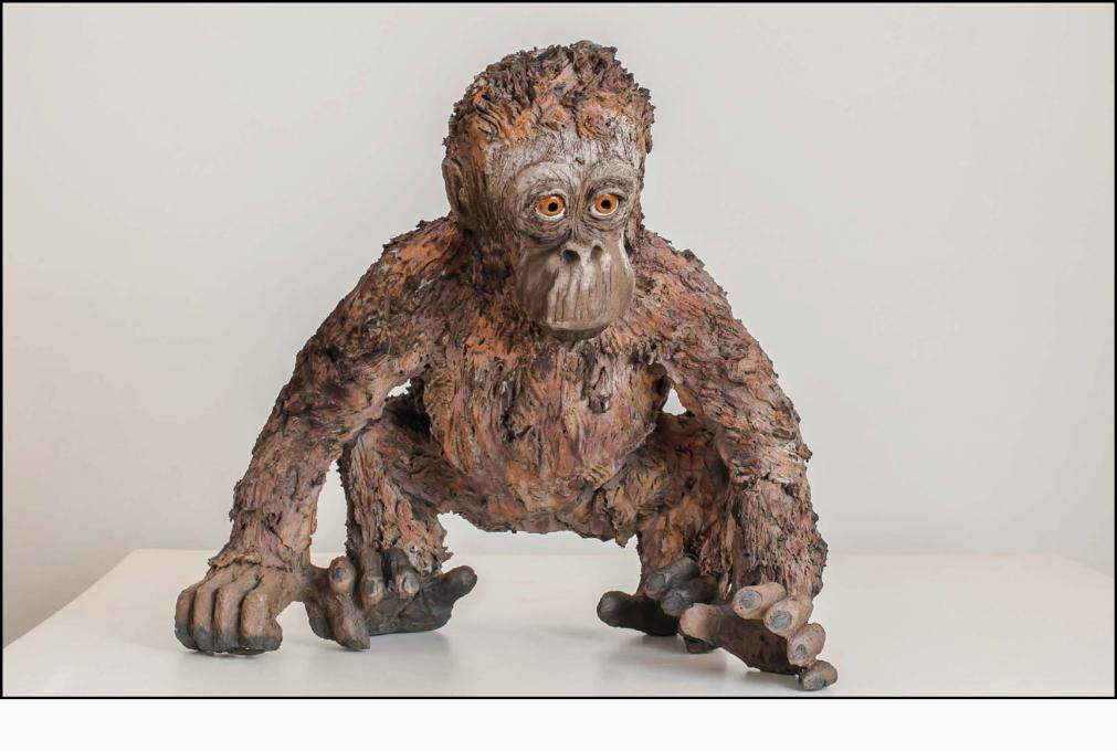 Orangutan « Premiers pas » - Raku ceramic - 41x45x39 cm