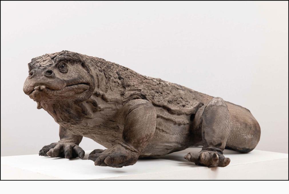 Komodo dragon « Le Géant de Komodo » - Raku ceramic - 115x34x65 cm