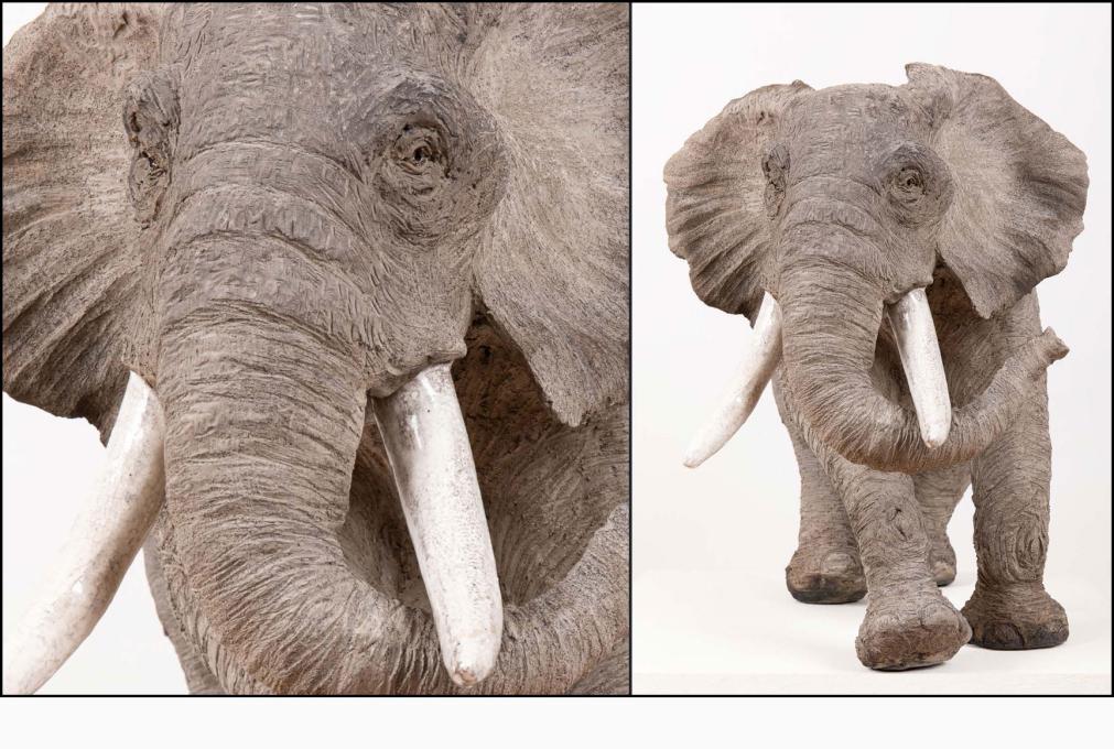 African elephant « Grand mâle » - Raku ceramic - 75x55x37 cm