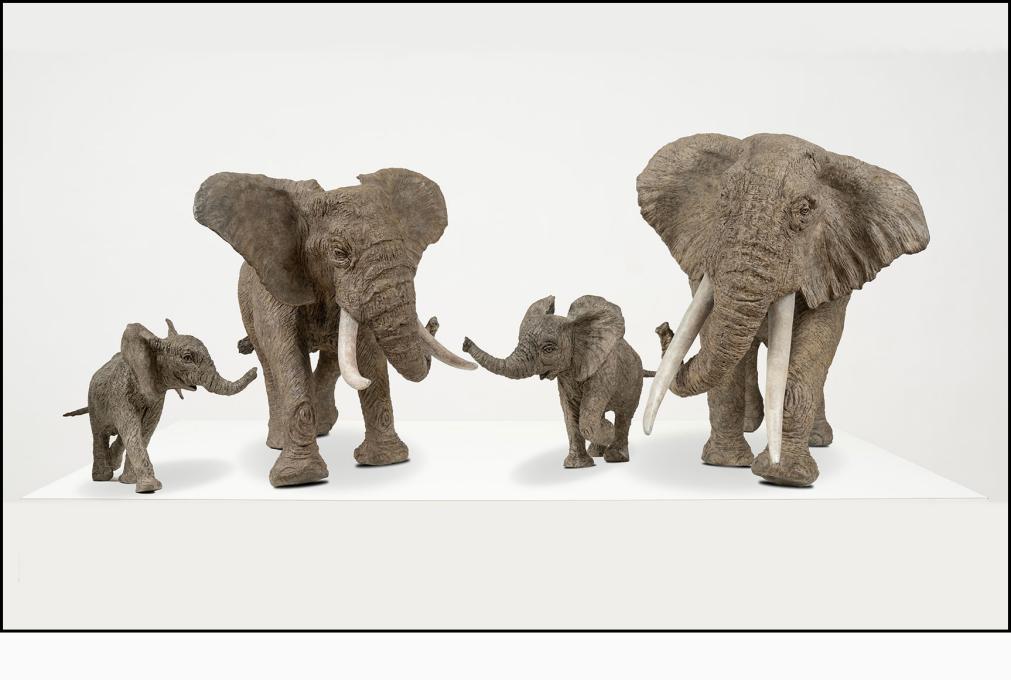Éléphants « Familia » - technique Bronze - « Tembo » 82X52X46 cm, « La Matriarche » 72X50X44 cm, « Little Tembo » 36X29X23 cm et « Jumbo » 46X31X23 cm
