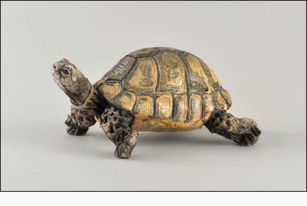Tortue d’Hermann « Testudo Hermanni » - céramique Raku - 24x12x18 cm