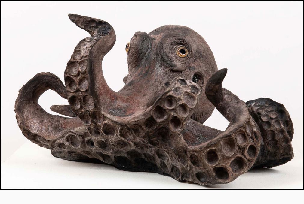 Poulpe - céramique Raku - 25x45 cm