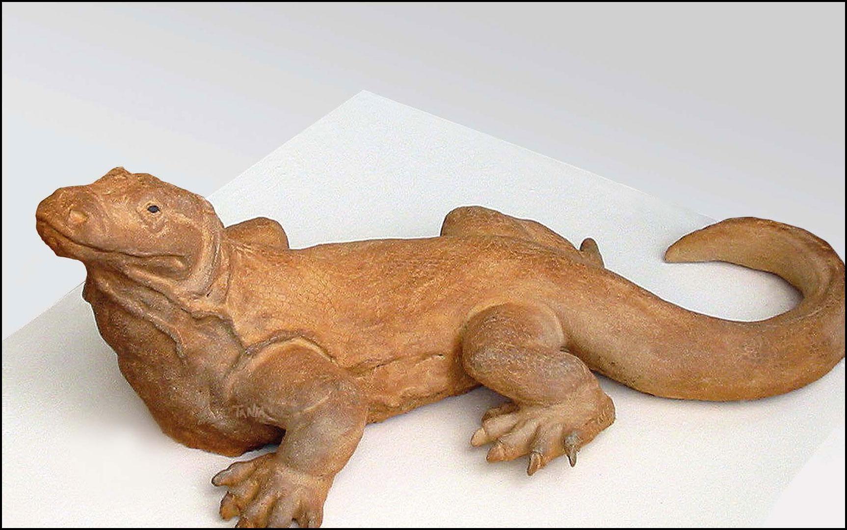Dragon de Komodo - Grès - 85x40x32 cm