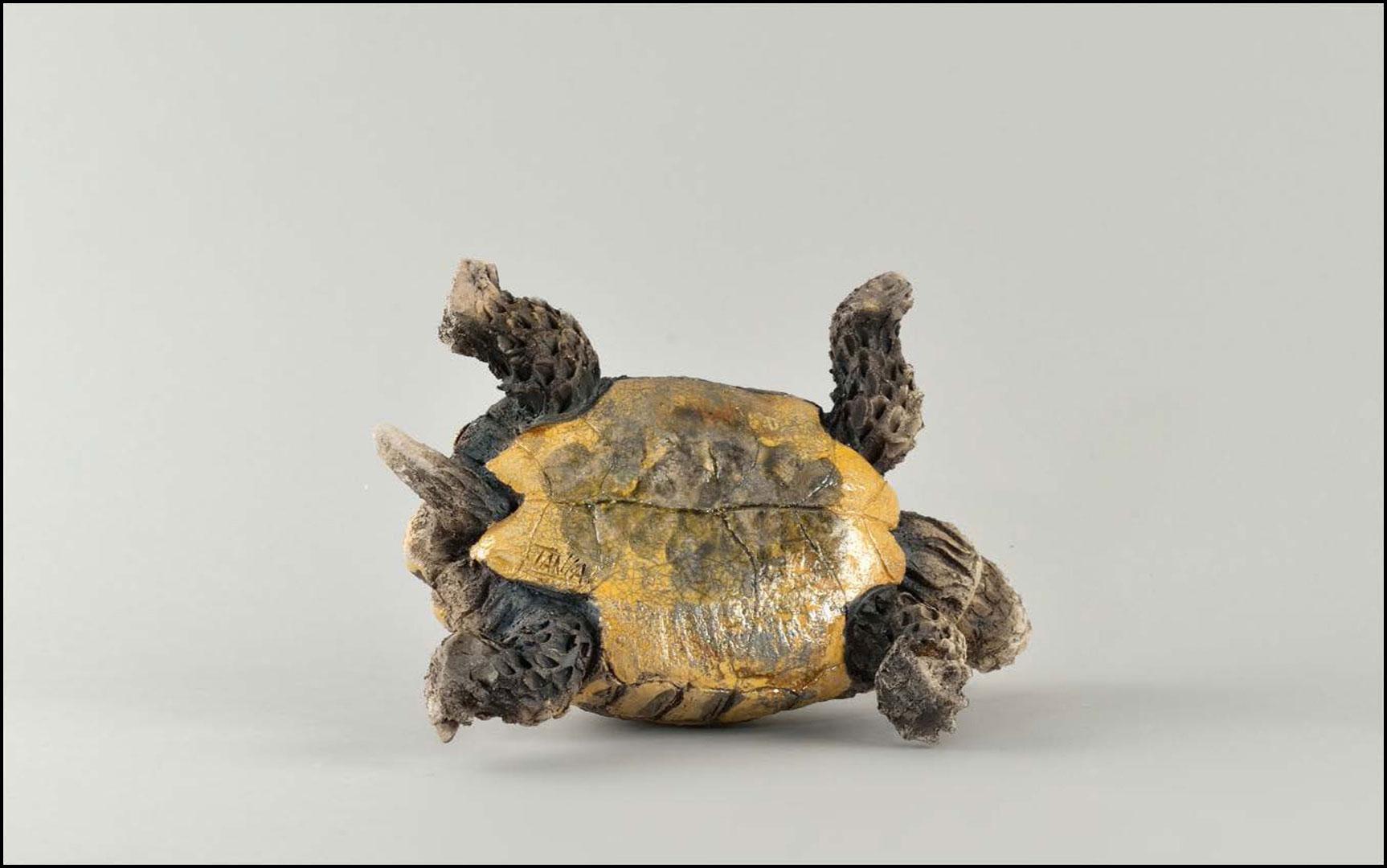 Tortue d’Hermann sur le dos « Testudo Hermanni » - Céramique Raku - 24x12x18 cm